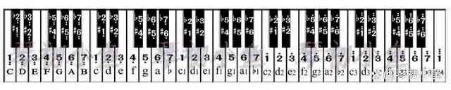 在说电子琴如何移调这个问题之前,我们先看下面这张61键的电子琴键盘