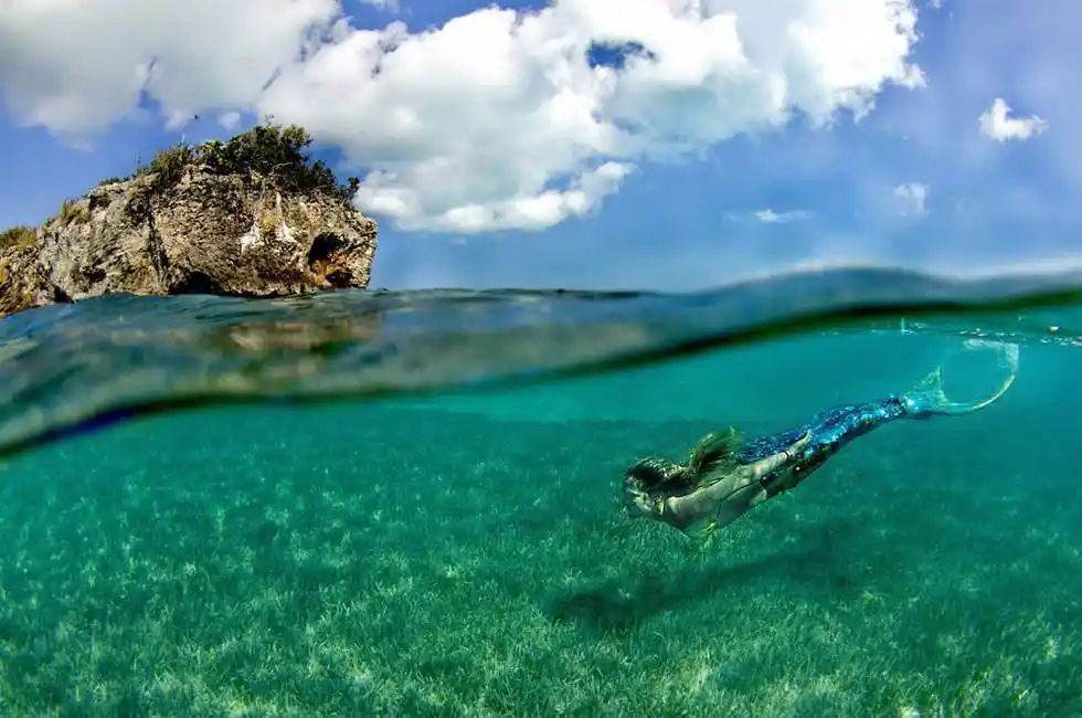 长江每天将鱼冲进大海,淡水鱼如何在海中生活?难道有猫腻?