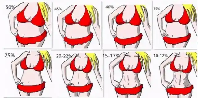 体脂率从27降到15一般要多长时间