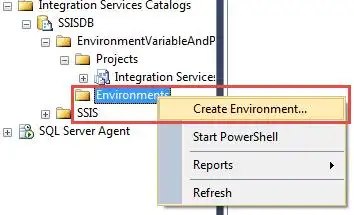 译ssis通过环境变量配置数据源连接参数