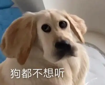 狗都不想听_不想表情
