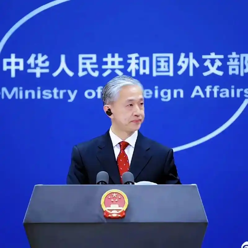 中国外交官#汪文斌 #醒图 - 抖音