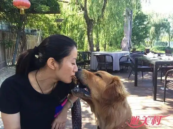 养狗的女人不能娶这是什么奇怪的理由