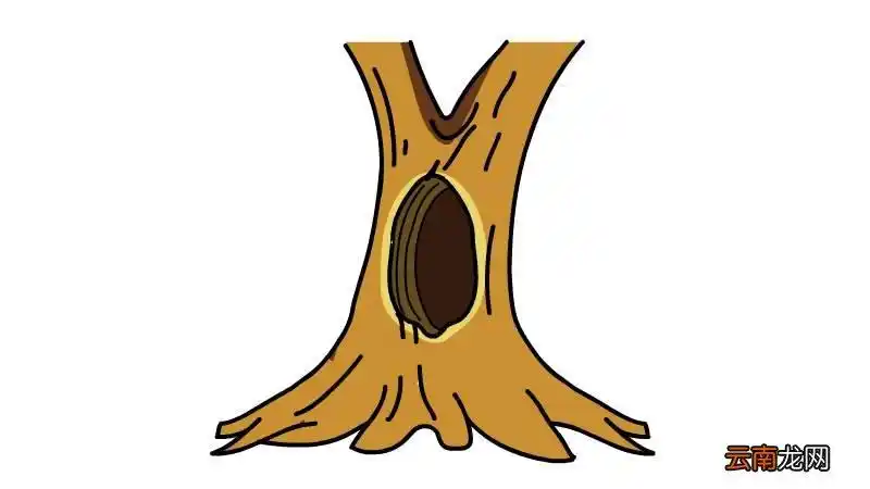 树洞简笔画教程树洞简笔画怎么画