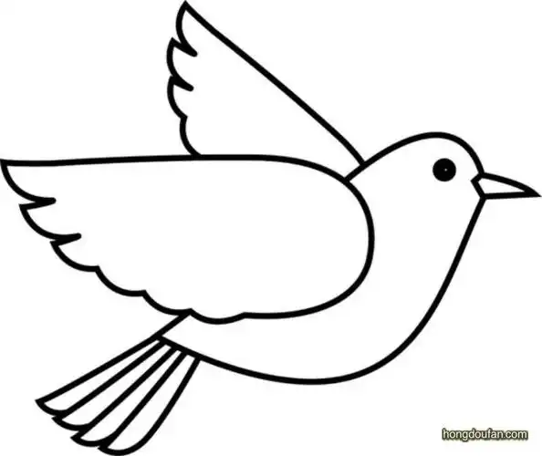 飞翔的和平鸽要如何画?鸽子简笔画大全