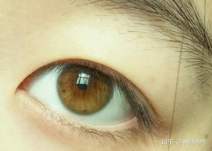 有没有见过天生浅色眼睛或蓝眼睛的中国人?