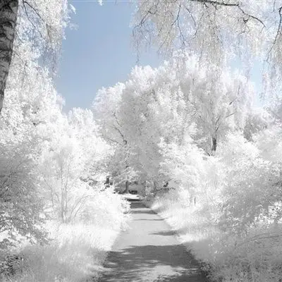 唯美雪景头像好看的冬季雪景风景图片