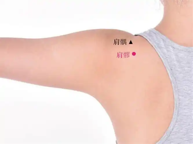 取穴方法〗在肩部,当臂外展时,于肩峰后下方呈现凹陷处,即为本穴.