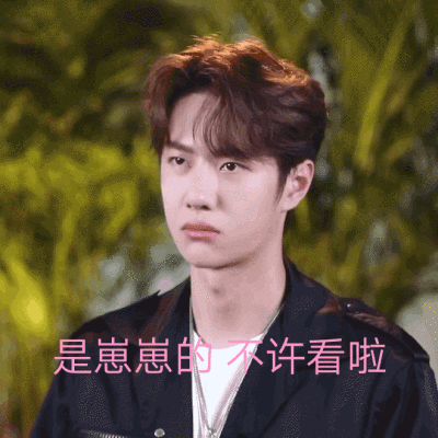 用表情包安利王一博哈哈哈哈哈我真的不是黑粉