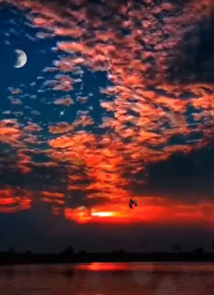 日月同辉,只有真正有品味的人才能看到这种奇观!