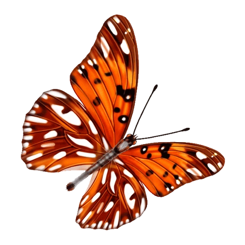 蝴蝶:免抠图png透明素材