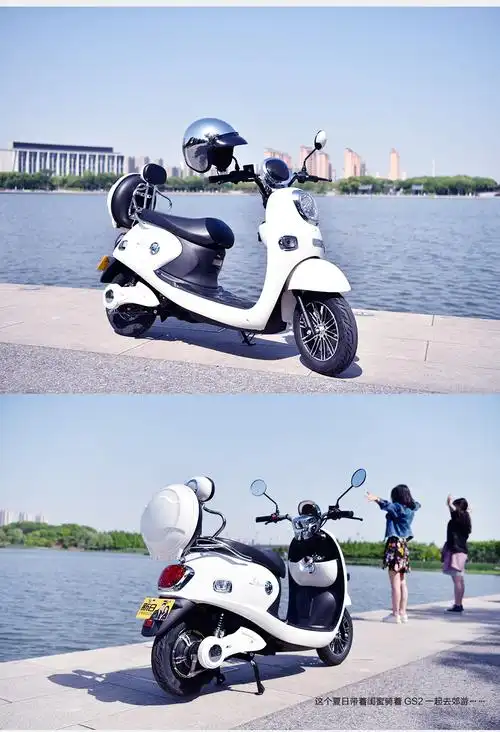 新日sunra新日电动车风雅欧妮电动车电动轻便摩托车电动自行车新款小