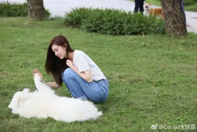 《神犬小七第三季》宋妍霏在该剧中饰演安心是完美世界搜救队队长