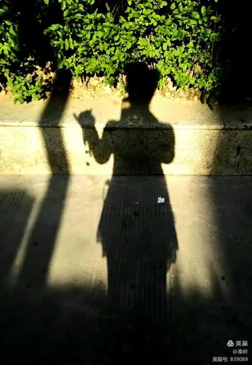 影子(手机自拍)