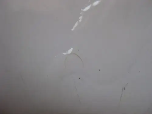 自来水 虫子 不知道这是怎么出现的