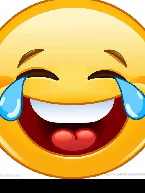 泥大侠 的想法: 捂脸,哭笑不得和狗头这三个表情是我平常