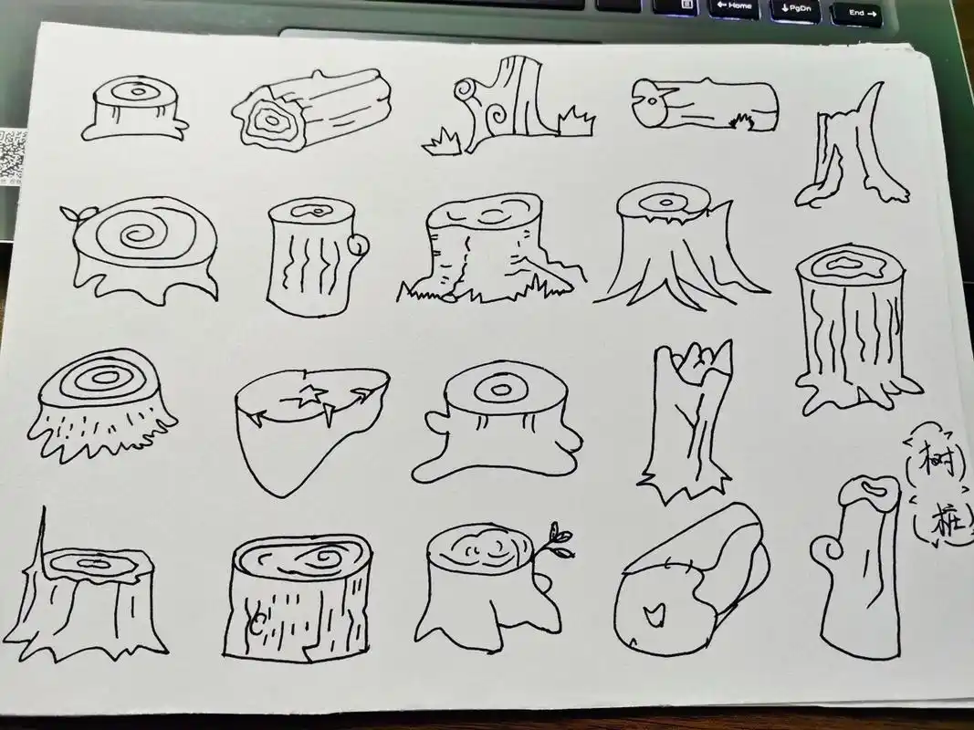 幼师day108---简笔画:树桩 这个树桩,就画的真的很像树桩嘛