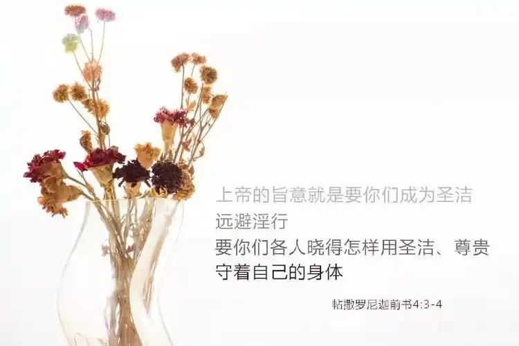 太美了圣经经文金句图片