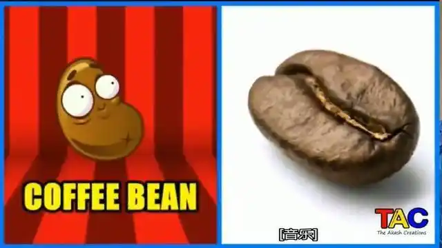 经典游戏植物大战僵尸,里面的33个角色和真人版一一对应,神似