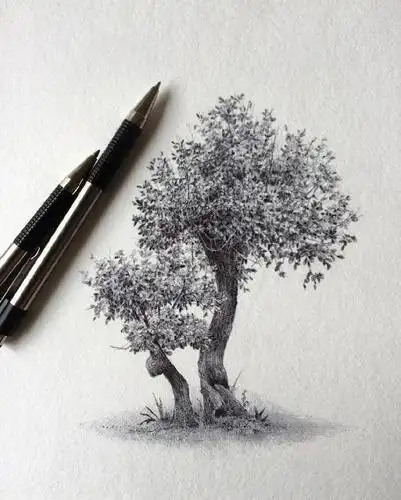 写实素描一棵树的创作就知道画者的功底