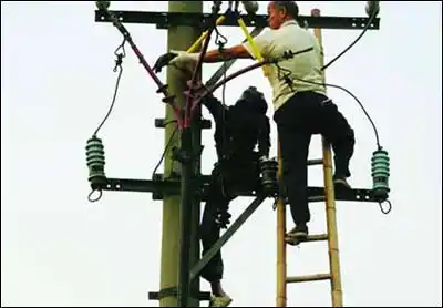 盗电缆者遭电击身亡