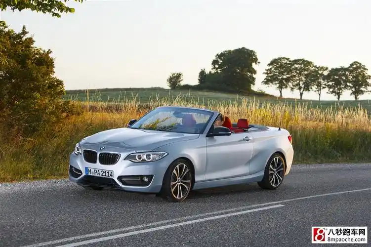 宝马2系敞篷版巴黎车展全球首发