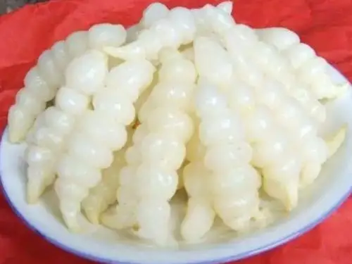 草药┃「 土冬虫夏草」