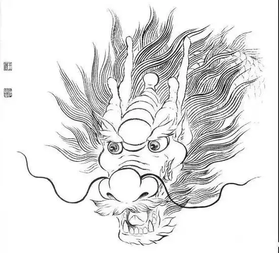 素材| 29幅中国龙白描图谱 喜欢龙的朋友一定收藏_工笔画