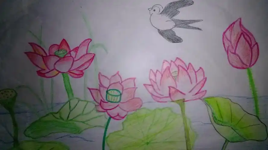 作品      名称:《曲院荷风》  说明:我最喜欢家乡的西湖中的曲院风荷