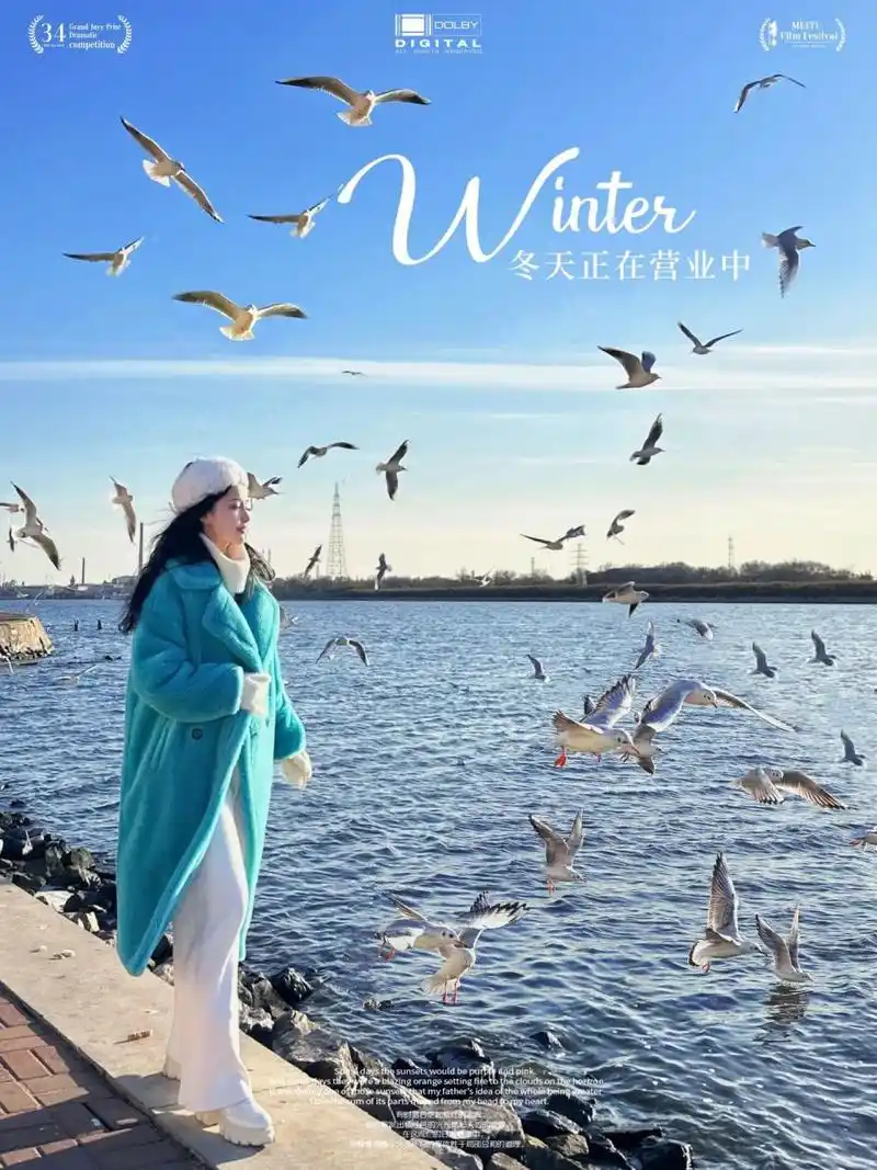 原来海鸥的叫声这么吵9898 好像第一次近距离接触这么多的海鸥