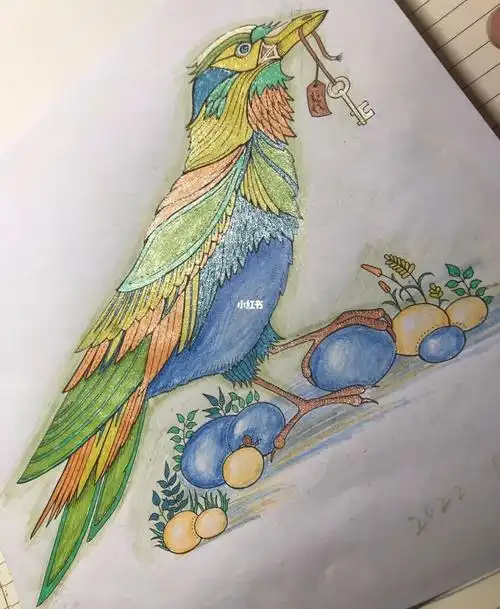 停课第一百十六涂:魔法森林