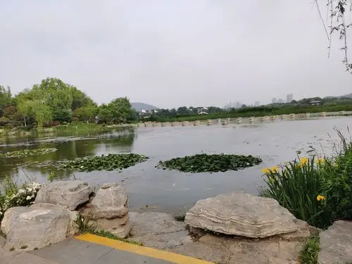 沉水廊道位于云龙湖南,小南湖西.水面上,还有很多的睡莲