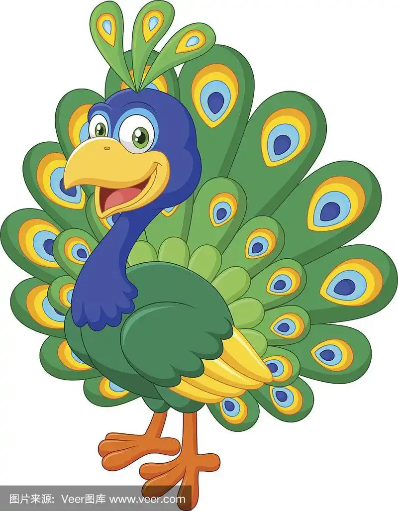 卡通美丽的孔雀孤立在白色的背景