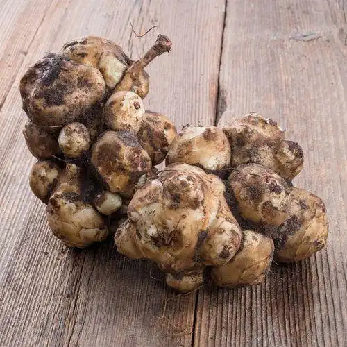 野生山洋芋图片 野生洋芋头图片