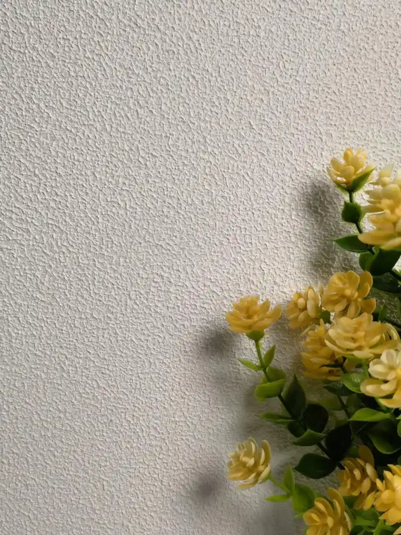 肌理漆效果图 #轻奢风墙面色推荐  - 抖音