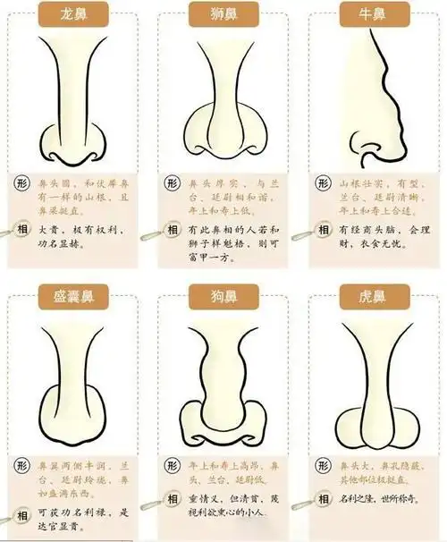 男人鼻子看运势_女人鼻子骨折影响运势吗_男人鼻子长痣面相图