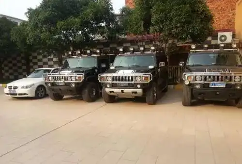 惊气功大师王林猝死豪宅豪车女弟子大师过得这么爽你造吗