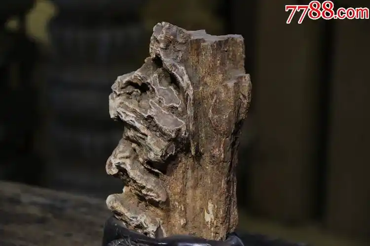 木化石原生态摆件