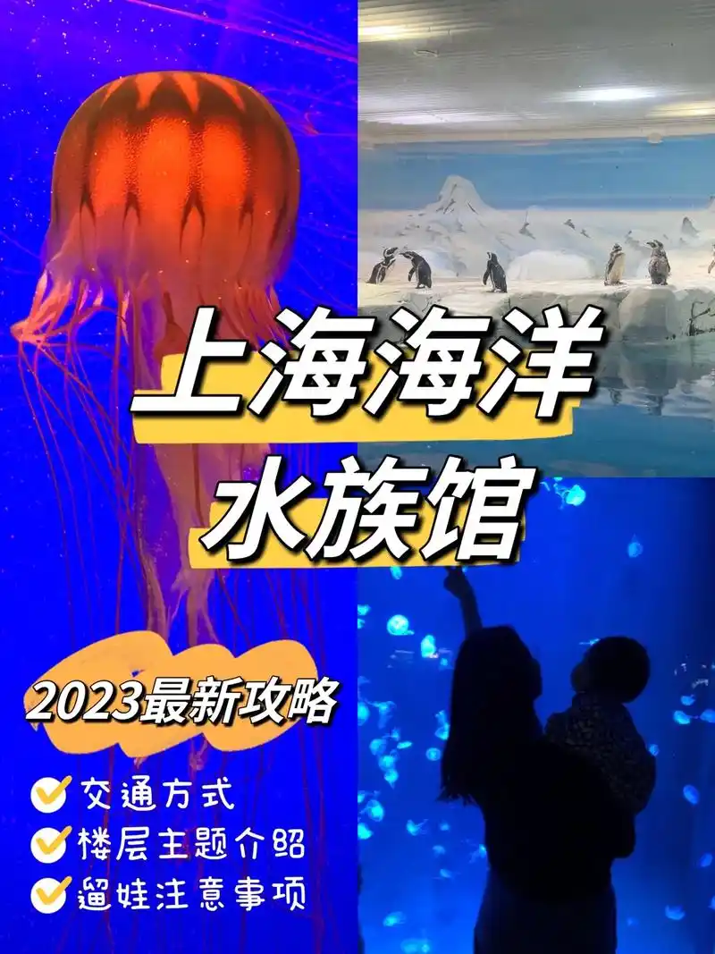 遛娃注意事项上海海洋2023最新攻略交通方式水族馆楼层主题介绍