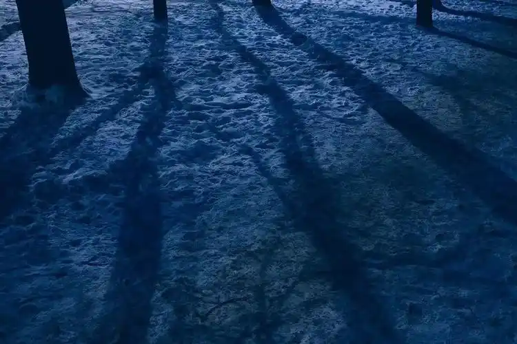 "妈妈穿白色系带凉鞋妹妹又补充说:姐姐说完抹红指甲她常穿淡蓝色连衣