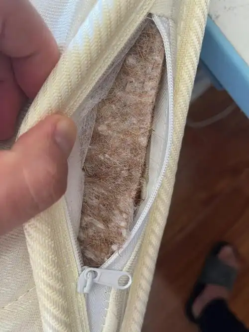 给孩子买的椰棕床垫大家看看是毒床垫吗
