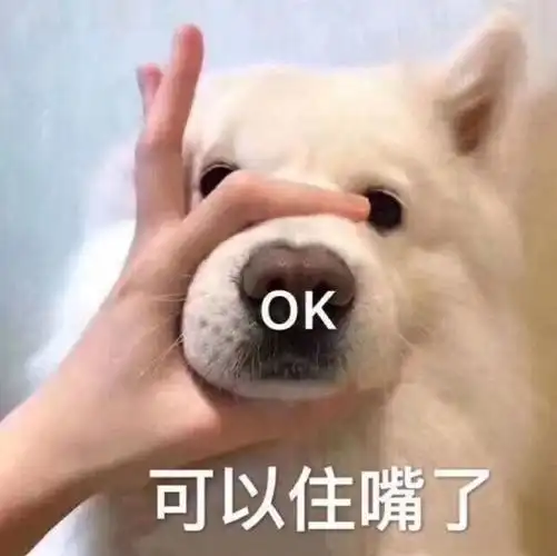 萌宠汪星人可以住嘴了别说话搞怪呆萌gif动图_动态图_表情包下载_soo