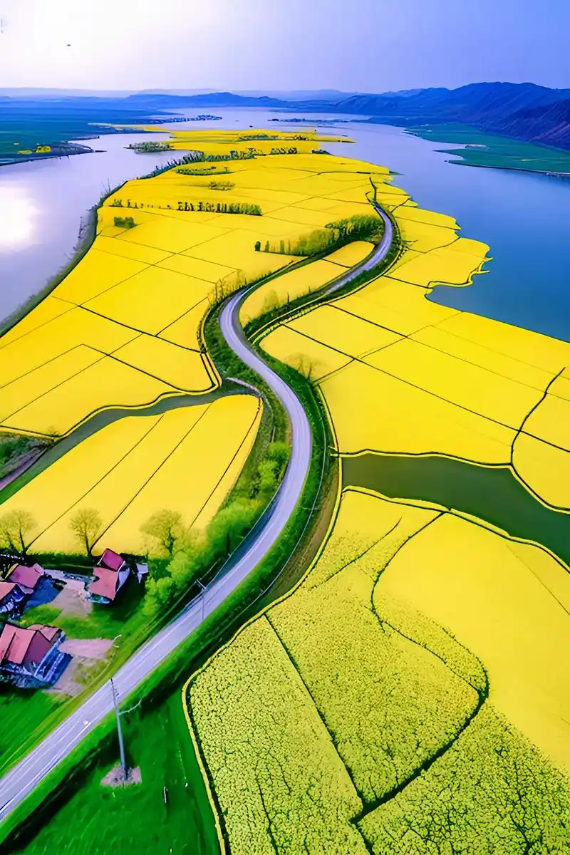 大地写满故事,田野装满希望. #治愈系风 - 抖音