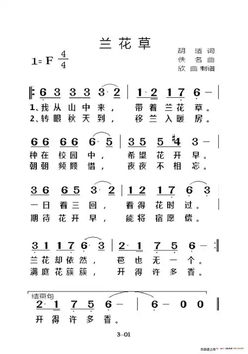 兰花草 老人适用