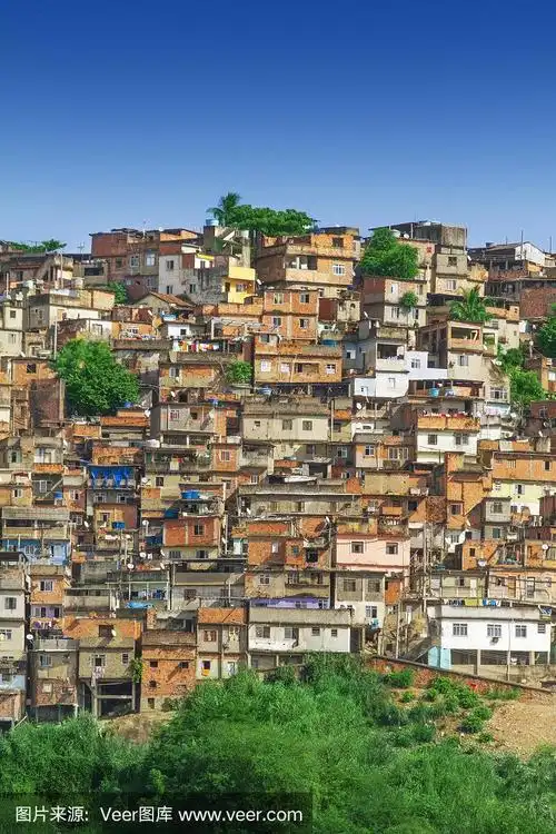 里约热内卢的贫民窟