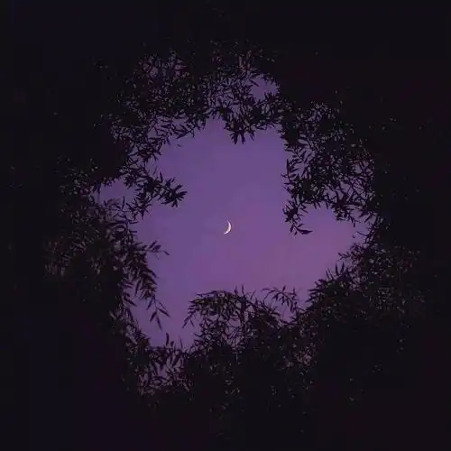 微信背景图绝美意境治愈系