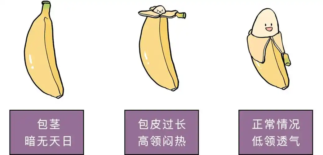 医生提醒男性包茎手术治疗要辨清