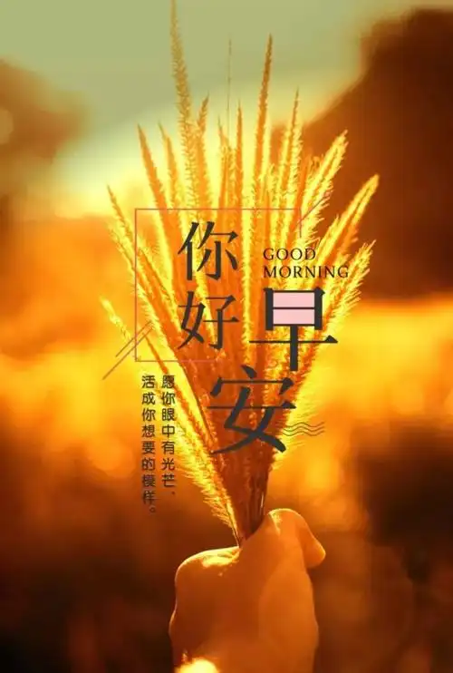 早安朋友圈说说一句话,早安说说心情短语:怀揣希望努力,静待美好出现