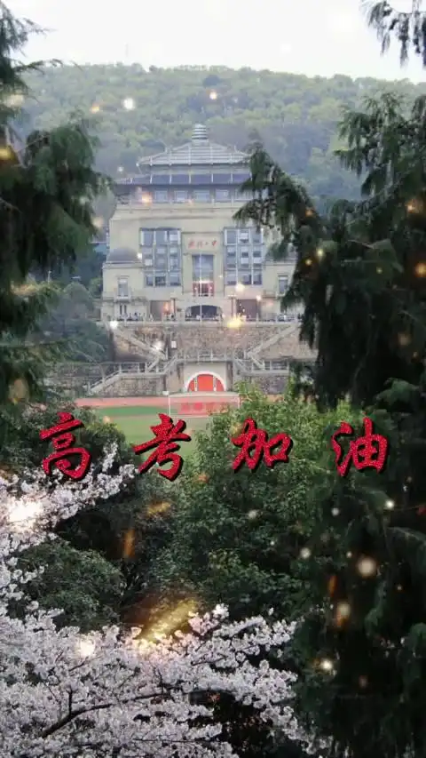 (视频来源:@武汉大学 )