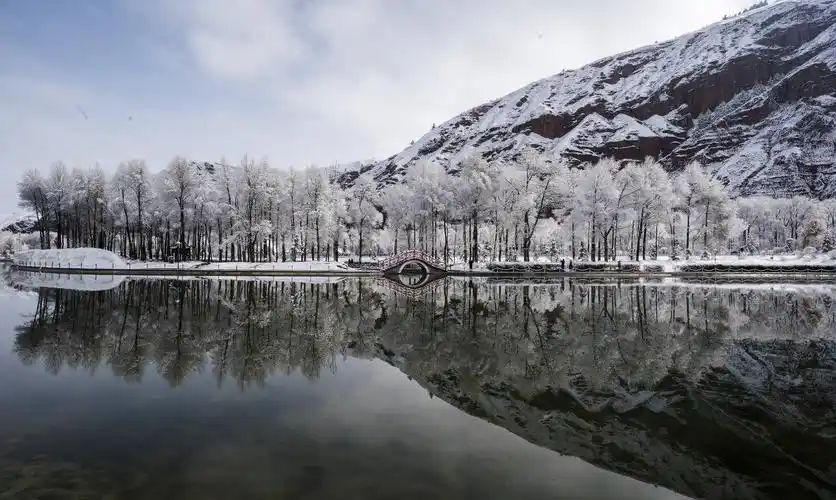 临近立夏,位于祁连山腹地的青海省海北藏族自治州祁连县迎来降雪,草原